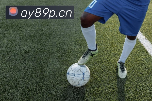 乐鱼体育APP登录服务体系